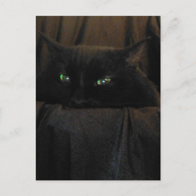 Carte postale Green Cat Eyes (Devant)