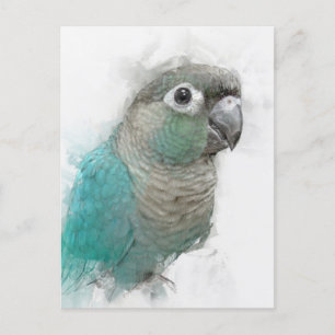 Carte postale Green Conure n° 3
