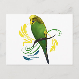 Carte Postale Green English Budgie