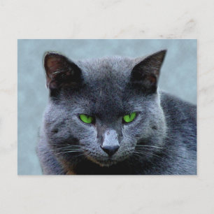 Carte postale Green Eyed Cat