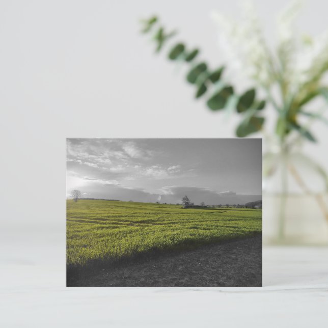 Carte postale Green Fields (Debout devant)