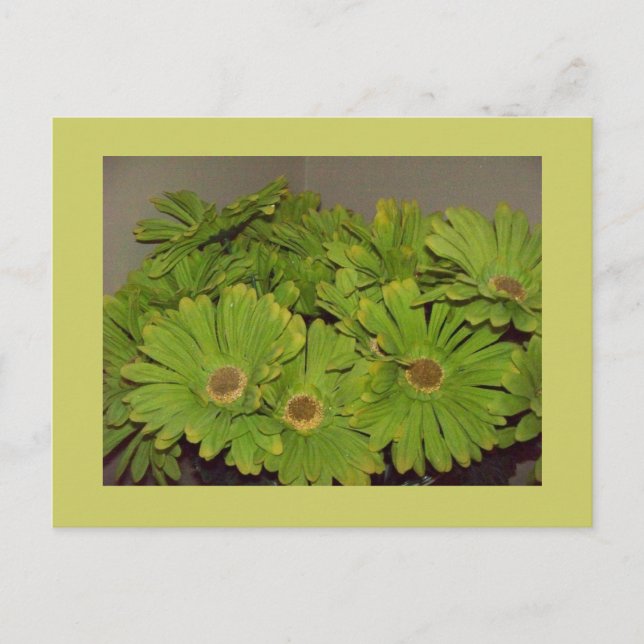 Carte Postale Green Flower Power (Devant)