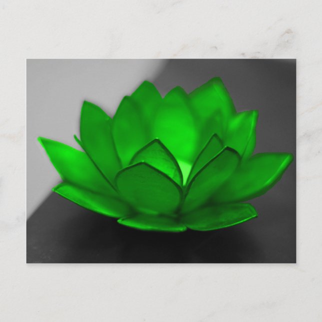 Carte Postale Green Lotus (Devant)