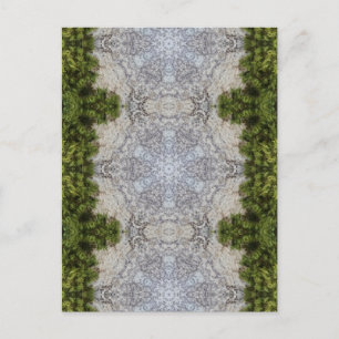 Carte Postale Green Moss & Earth Nature Art