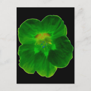 Carte Postale Green Nasturtium