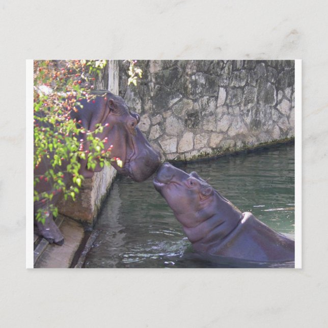 Carte Postale Greeting de Mother et Baby (Devant)