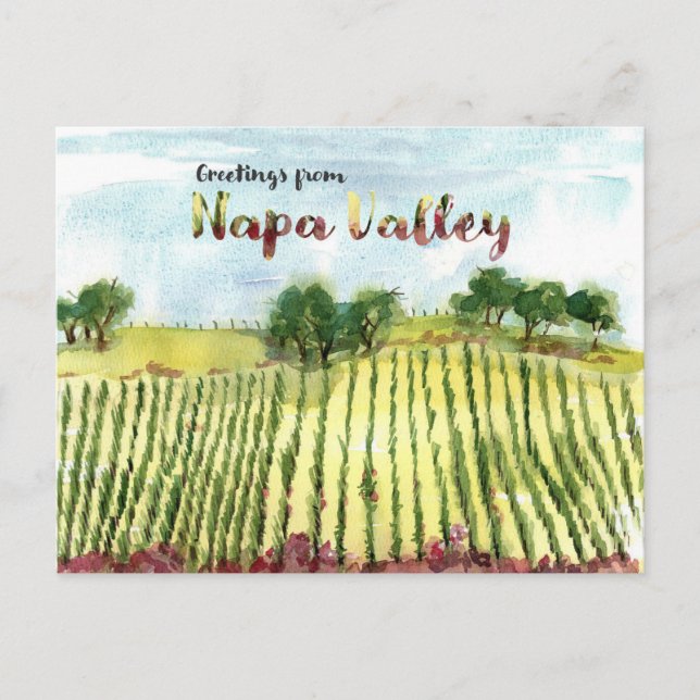 Carte Postale Greetings From Napa Valley Vineyard Hills (Devant)