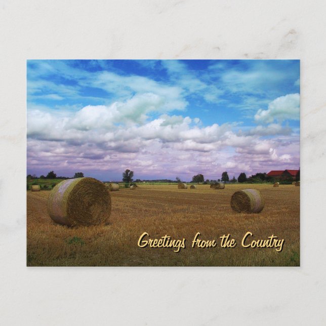 Carte Postale Greetings from the Country (Devant)