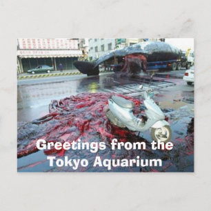 Carte Postale Greetings from the Tokyo Aquarium