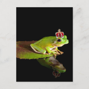 Carte Postale Grenouille