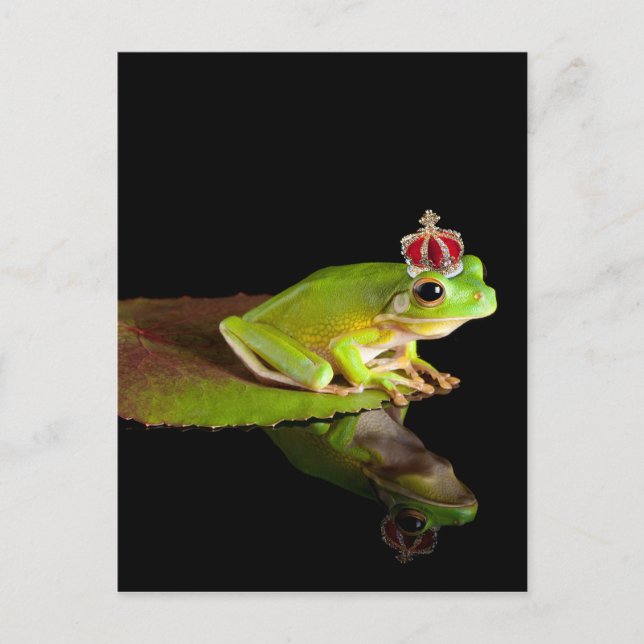 Carte Postale Grenouille (Devant)