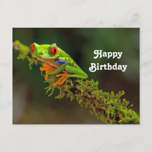 Carte Postale Grenouille à arbre rouge photo Anniversaire