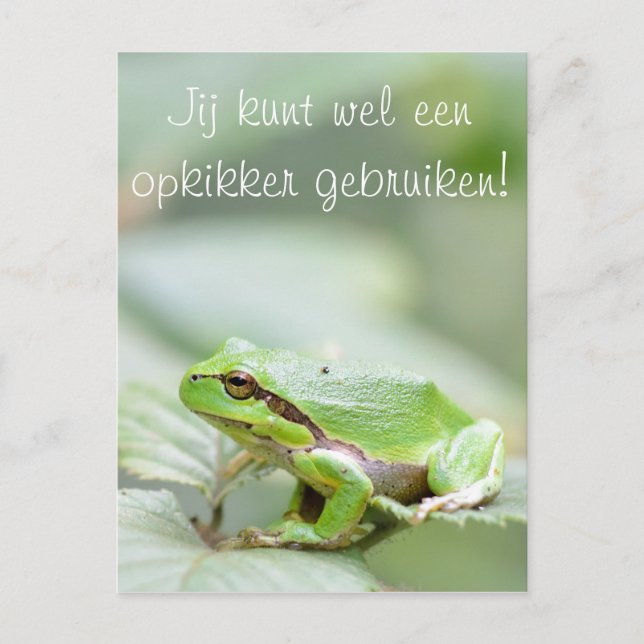 Carte Postale Grenouille arborescente avec le texte "Opkikker" c (Devant)