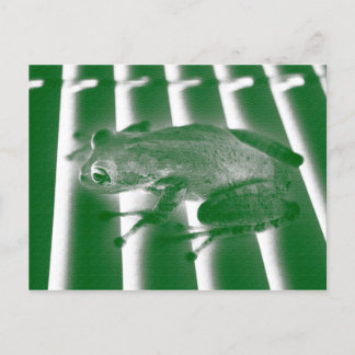 Carte Postale grenouille arboricole à gauche croquis vert dessin