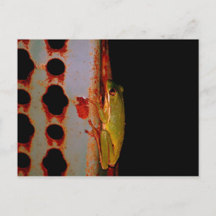 Carte postale Grenouille Arbre