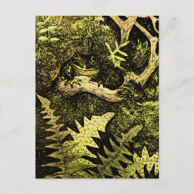 Carte Postale Grenouille Art Nouveau hollandaise dans l'arbre (Devant)
