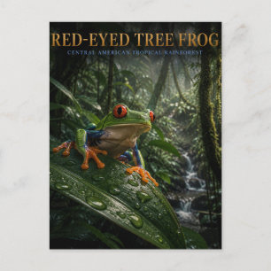 Carte Postale Grenouille aux yeux rouges de la forêt tropicale A