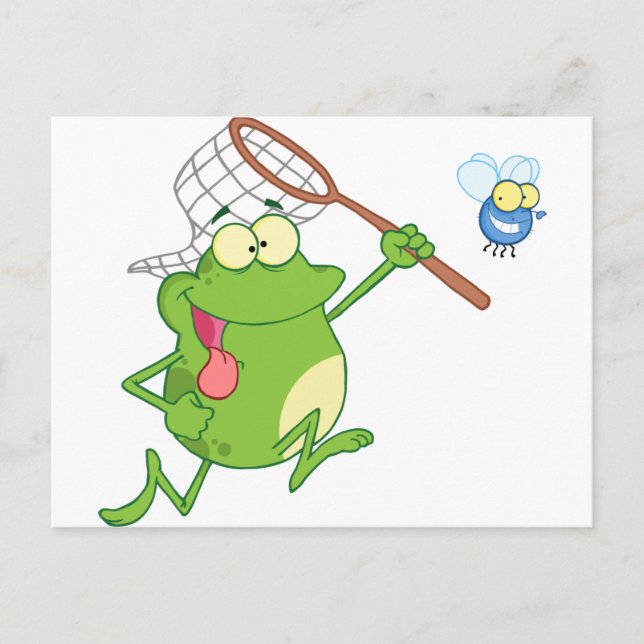 Carte Postale Grenouille chasse mouche avec filet (Devant)