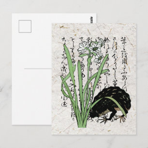 Carte Postale Grenouille crapaud botanique japonais du XVIIIe si