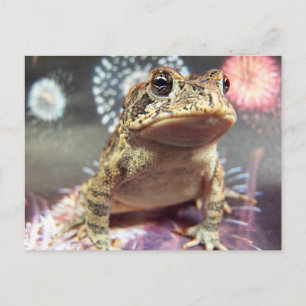 Carte Postale Grenouille crapaud debout contre un arrière - plan