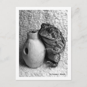 Carte Postale Grenouille crapaud tenant une percussion