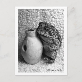 Carte Postale Grenouille crapaud tenant une percussion