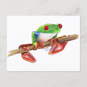 Carte Postale Grenouille des arbres Treefrog jolie illustration