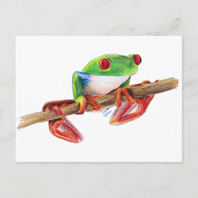 Carte Postale Grenouille des arbres Treefrog jolie illustration  (Devant)