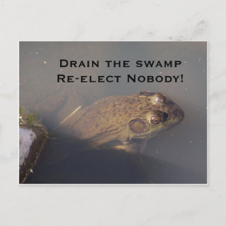 Carte Postale grenouille Drainer le marais Réélire Personne