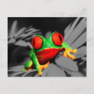 Carte Postale Grenouille Insecte-Eyed