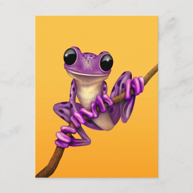 Carte Postale Grenouille mignonne d'arbre pourpre sur une branch (Devant)