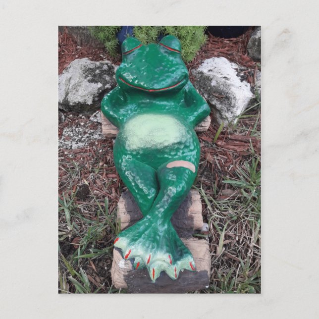 Carte Postale Grenouille qui dort Juste un refroidissement Et vo (Devant)
