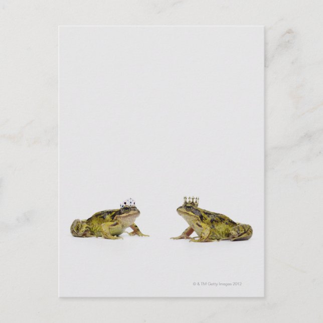 Carte Postale Grenouille royale et reine se regardant (Devant)