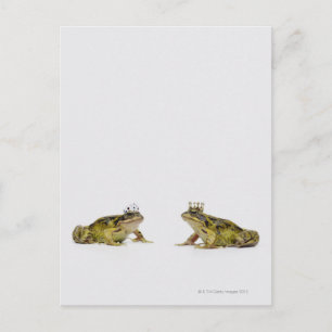 Carte Postale Grenouille royale et reine se regardant