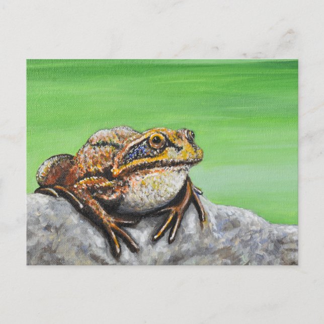 Carte Postale Grenouille sur un rocher (Devant)
