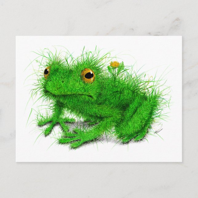 Carte Postale Grenouille verte (Devant)