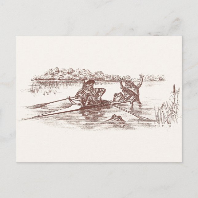 Carte Postale Grenouilles (Devant)