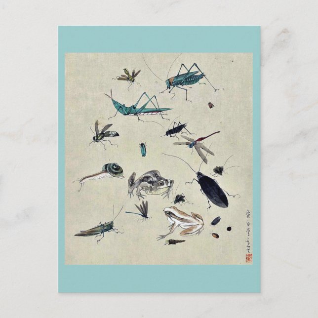 Carte Postale Grenouilles, escargots et insectes (Devant)