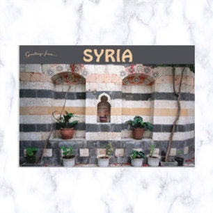 Carte Postale Grèves et Plantes à Damas Syrie
