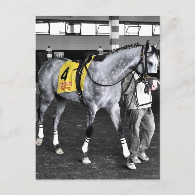 Carte Postale Grey by You (Devant)