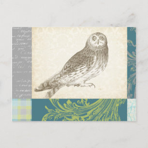 Carte Postale Grey Owl sur Arrière - plan Motif
