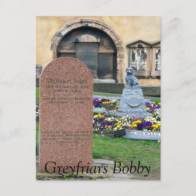 Carte Postale Greyfriars Bobby, Édimbourg (Devant)