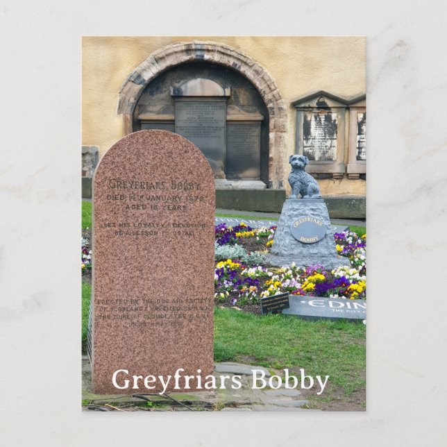Carte Postale Greyfriars Bobby, Édimbourg (Devant)