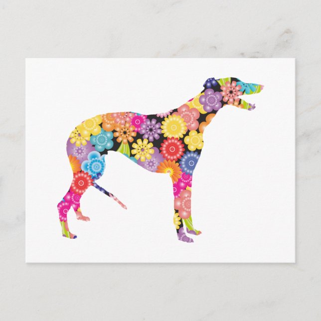 Carte Postale Greyhound (Devant)