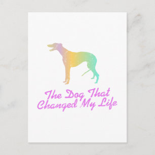 Carte Postale Greyhound