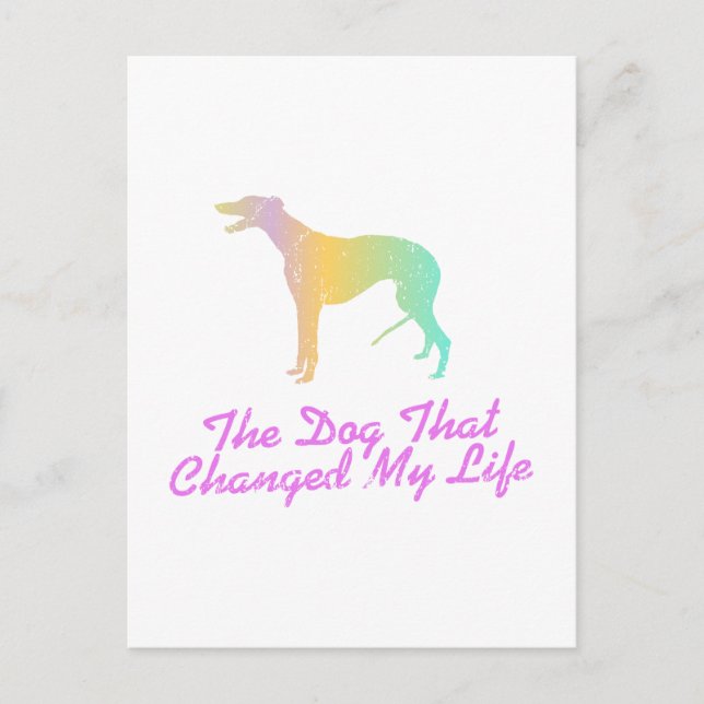 Carte Postale Greyhound (Devant)