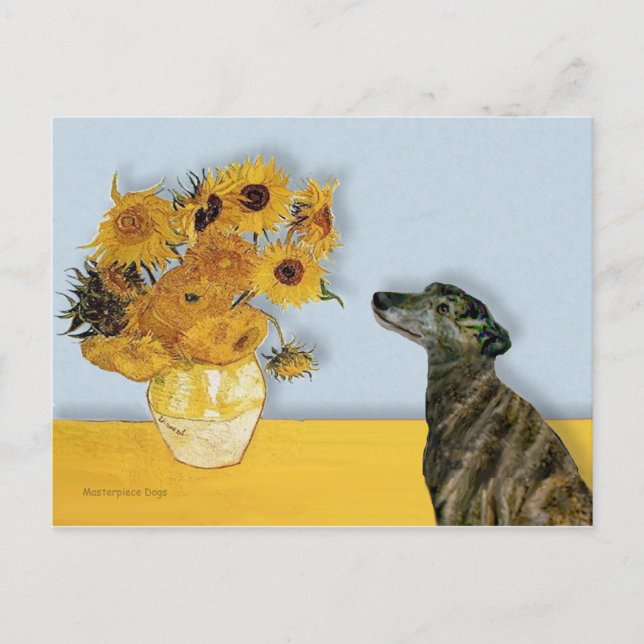 Carte Postale Greyhound (br2) - Tournesols (Devant)