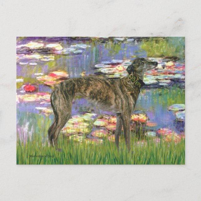 Carte Postale Greyhound (br8) - Lilies 2 (Devant)
