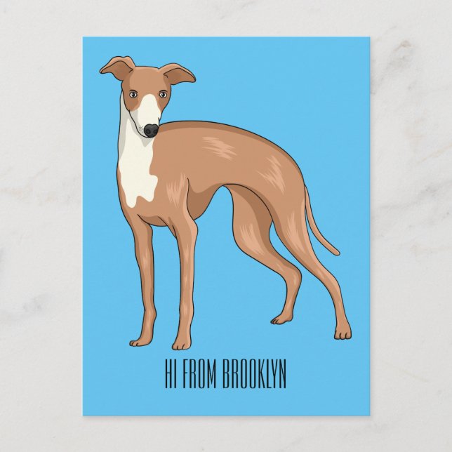Carte Postale Greyhound dog (Devant)