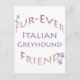 Carte Postale Greyhound Furever italien